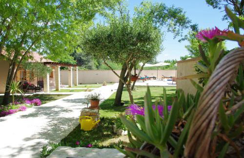 Vila Green Oasis Miro - Foto 50