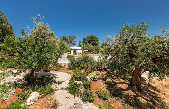 2410 Tenuta dei Fragni by Perle di Puglia - Foto 45