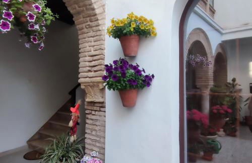 El patio de Regina - Foto 16