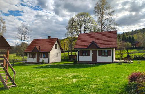 Domek Bieszczadzkie Brzegi - Foto 19