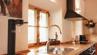 Chalet Zugspitze, Kamin, Tiere - Foto 4