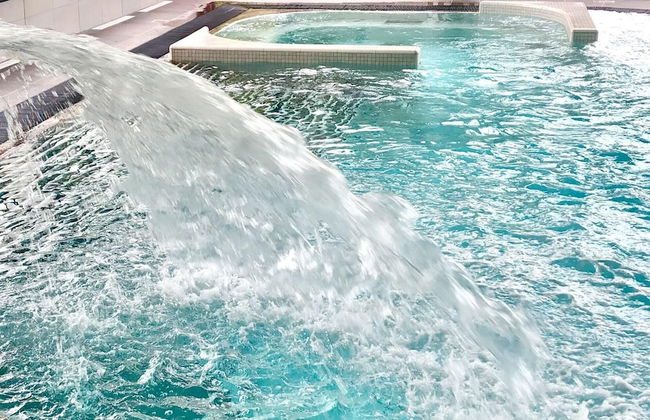 Les Sarments ***** - Beaune - Foto 20