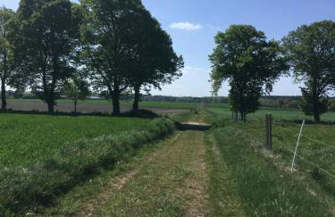 Ferienapartment Kastanje - Foto 22