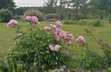 Gîte 4 pers proche cure thermale, Futuroscope, calme et nature à La Roche Posay - Foto 33