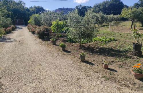 La Casetta della valle di Civita - Foto 28