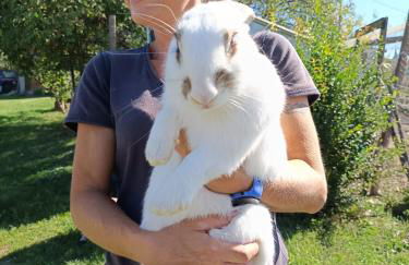 Agriturismo I Due Mondi - Foto 34