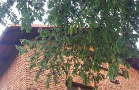 Bujaków, apartamenty Zdrojowa 58a - Foto 15