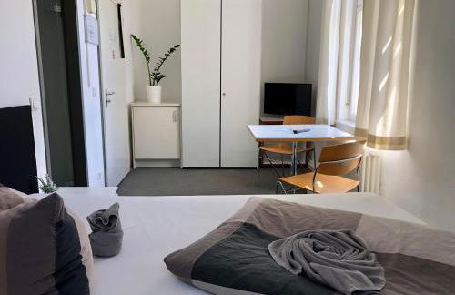 Ferienwohnungen und Apartmenthaus Halle Saale - Villa Mathilda - Foto 21