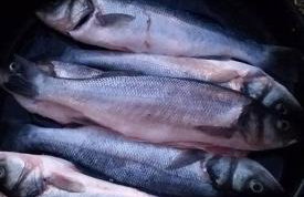 Apartmani Nikoletić - Photo 63