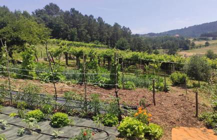 Lagar de Beuvas - Foto 32