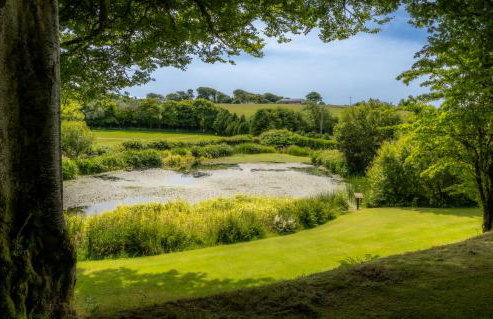 Ta Mill Cottages & Lodges - Brookview Lodge 1 - Foto 18