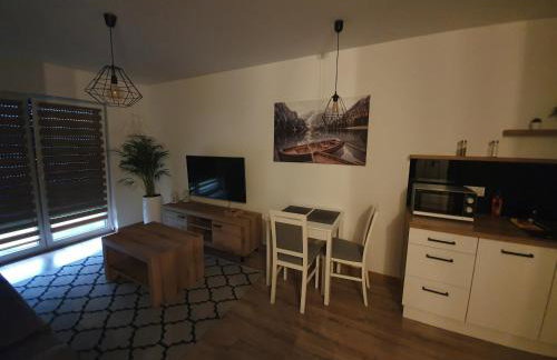 Apartament Number One NOVA WOZOWNIA - Foto 8