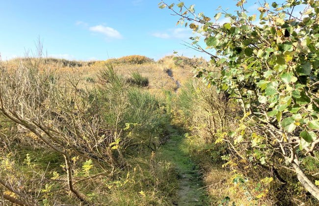 "Osa" - 150m from the sea - Foto 8