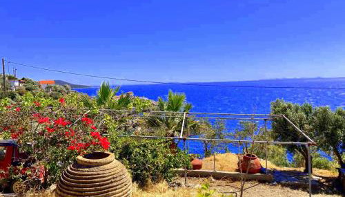 villa Aspasia - Foto 4, Garden