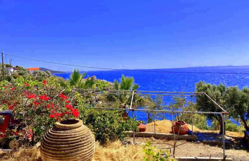 villa Aspasia - Foto 4