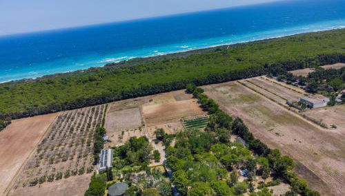 BIO AGRITURISMO SALOS - Foto 4