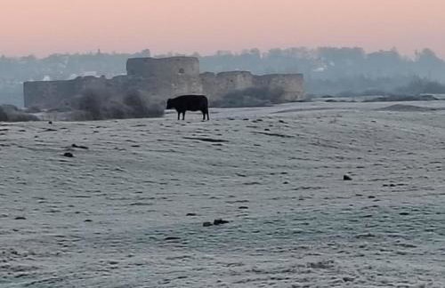 Three Wishes - Winchelsea Town - Foto 32