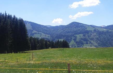 FeWo Alpenfreude mit Hallenbad - Foto 40