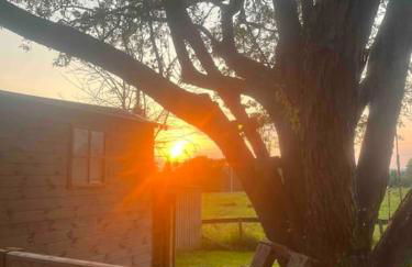 Glen Erin Hut - Foto 14