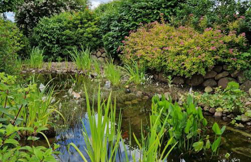 Ferienwohnung Stolle - Photo 24