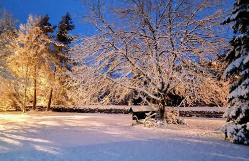 Holiday home with 1 bedroom - Photo 35