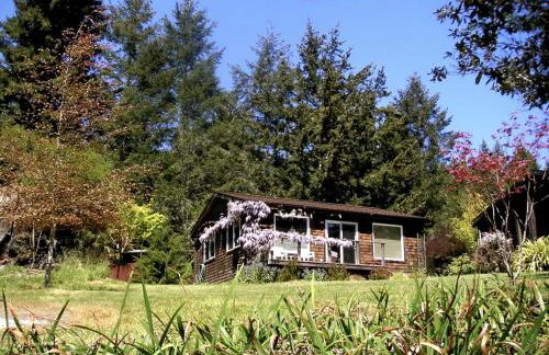 Rural Vacation Cottage near the Coast and the Town of Albion in Northern California - Foto 7