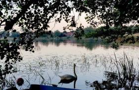 Agroturystyka Żółta Ostoja - Foto 10