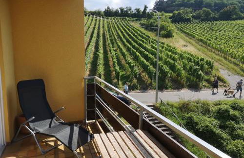 Ferienwohnung "Weinbergblick" im Winzerdorf - Foto 10