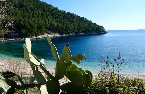 MT Seafront Residence - Foto 23