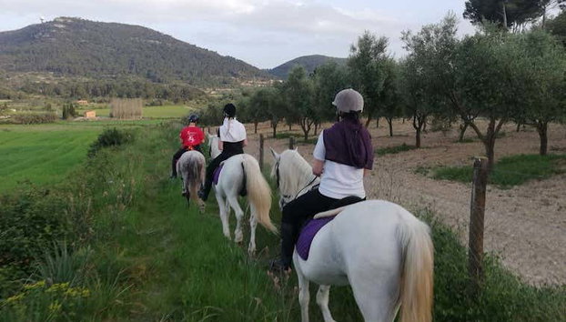 Horseback Riding in Randa, Mallorca - Foto 5