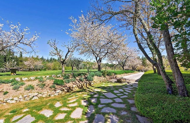 Verdidea - VILLA AIOLA - Foto 37