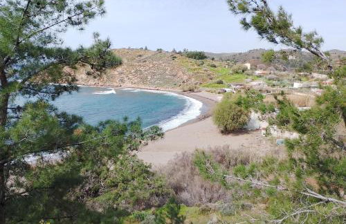 White lilies the house of gourmet flavours - Foto 25