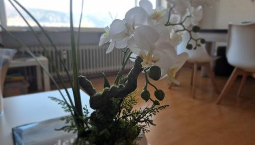 Seestudio mit toller Aussicht am Bodensee - Foto 5