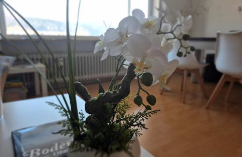 Seestudio mit toller Aussicht am Bodensee - Foto 5