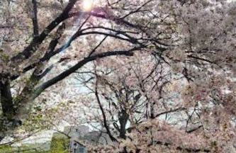 Modern Chic Fishtown-Philly Home with Roof Deck - Foto 47