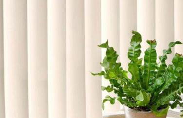 Mamma House - Foto 16