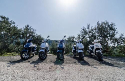 Apartmani Popović - Foto 10