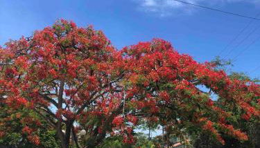 Casa Mundo Buzios - Foto 3