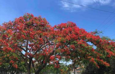 Casa Mundo Buzios - Foto 3