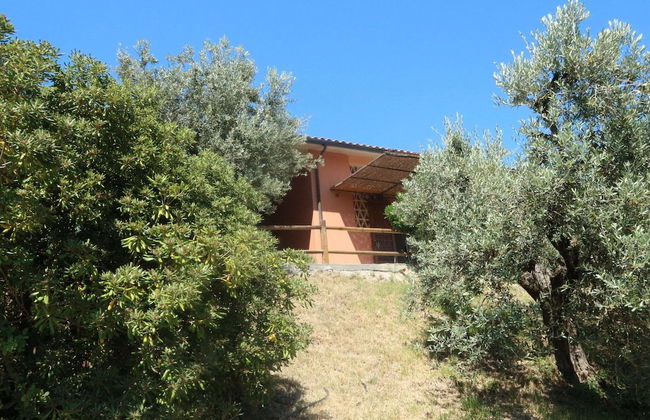 Snug Holiday Home in Castagneto Carducci near Thermal Bath - Foto 31