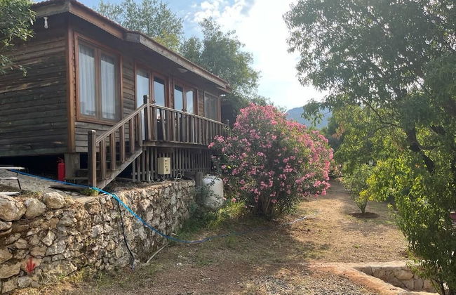 Palmira Selimiye - Foto 3