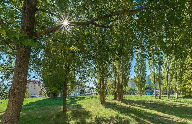 Apartment Ivana - Foto 22