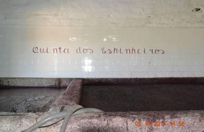 Quinta dos Espinheiros - Foto 43