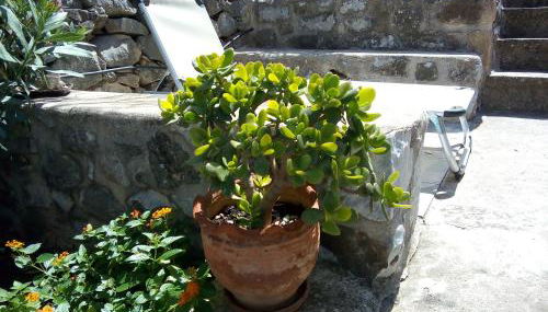 Amphitrite's House - Foto 4, Garden