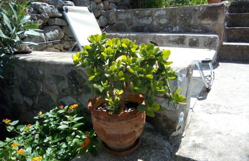 Amphitrite's House - Foto 4