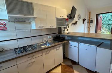 Domki Pod Brzoza - Foto 25