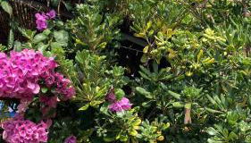 La Casita Azul, L'Escala, Con climatización - Foto 5, Garden