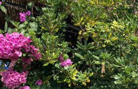 La Casita Azul, L'Escala, Con climatización - Foto 5