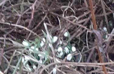 Marcinowa Zagroda - Foto 33