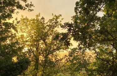 Cabane dIsmou Piscina & Diseño de madera - Foto 23